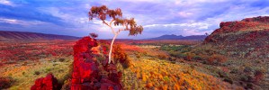 australianphotography.com